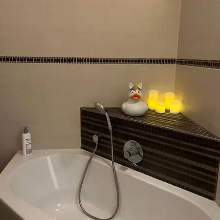 Appartement Neu Renoviertes Reihenendhaus Mit Klimaanlage Nahe Heidelberg Eppelheim